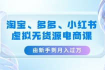 淘宝、多多、小红书-虚拟无货源电商课：由新手到月入过万-副业网