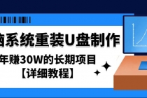 电脑系统重装U盘制作，年赚30W的长期项目【详细教程】-副业网