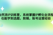自然流IP训练营，系统掌握IP孵化全流程，也能学到选题，剪辑，账号运营经验-副业网