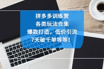 拼多多训练营：各玩法合集，爆款打造，低价引流，7天破千单等等！-副业网