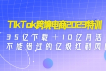 TikTok跨境电商2023特训：35亿下载＋10亿月活，不能错过的亿级红利风口-副业网