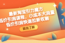 最新淘宝引力魔方低价引流实操：小成本大流量，低价引流快速拉新收割-副业网