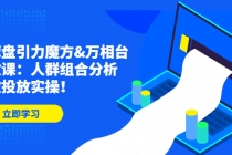 达摩盘引力魔方&万相台投放课：人群组合分析，高效投放实操！-副业网