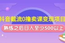 抖音截流0撸卖课变现项目：这个玩法熟练之后日入至少500以上-副业网