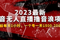 2023最新抖音无人直播撸音浪项目，0粉丝每天1小时，一个号一天1500-2000元-副业网