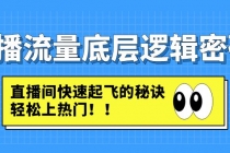 直播流量底层逻辑密码：直播间快速起飞的秘诀，轻松上热门-副业网