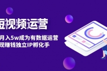 短视频自然流IP第2期：从0到月入5w成为有数据运营变现赚钱独立IP孵化手-副业网