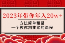 韭菜-联盟· 2023年带你年入20w+方法简单粗暴，一个教你割韭菜的课程-副业网