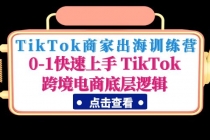TikTok商家出海训练营：0-1快速上手 TikTok跨境电商底层逻辑(无中创水印)-副业网
