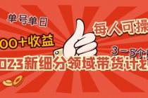 2023新细分领域带货计划：单号单日1000+收益不难，每人可操作3-5个账号-副业网