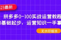 2023拼多多0-100实战运营教程，0基础起步，运营知识一手掌握-副业网