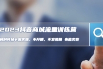 2023抖音商城流量班：利润商品卡流实操，不开播-不发视频-也能卖货(无水印)-副业网