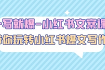 一写就爆-小红书文案课：带你玩转小红收爆文写作-副业网