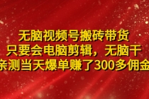 无脑视频号搬砖带货，只要会电脑剪辑，无脑干，亲测当天爆单赚了300多佣金-副业网