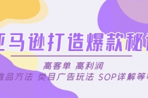 亚马逊打造爆款秘诀：高客单 高利润 推品方法 类目广告玩法 SOP详解等等-副业网