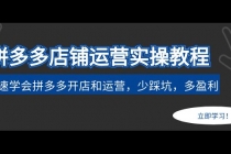 拼多多店铺运营实操教程：快速学会拼多多开店和运营，少踩坑，多盈利-副业网