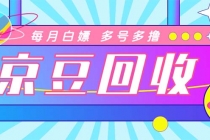 最新京东代挂京豆回收项目，单号每月白嫖几十+多号多撸【代挂脚本+教程】-副业网