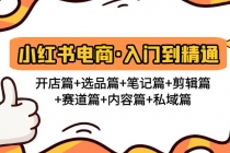 小红书电商入门到精通 开店篇+选品篇+笔记篇+剪辑篇+赛道篇+内容篇+私域篇-副业网