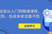 万相台投放·新手到精通课程，学会这些，低成本拿流量不愁！-副业网