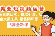 5套·美业短视频运营课 从场景到话术·精准引流·吸金文案工具·销售闭环等-副业网