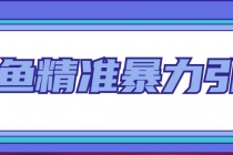 闲鱼精准暴力引流全系列课程，每天被动精准引流200+客源技术-副业网