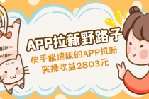 APP拉新野路子：快手极速版的APP拉新赚，实操收益2803元-副业网