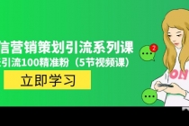 价值百万的微信营销策划引流系列课，每天引流100精准粉-副业网