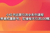小红书运营引流全系列课程:教你养高权重新号,实操每天引流100精准粉-副业网