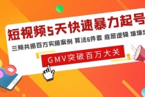 短视频5天快速暴力起号，三频共振百万实操案例 算法6件套 底层逻辑 爆爆爆-副业网
