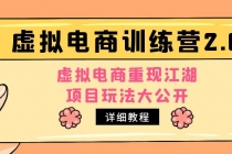 小红书虚拟电商训练营2.0，虚拟电商重现江湖，项目玩法大公开【详细教程】-副业网