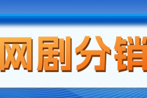 网剧分销，新蓝海项目，月入过万很轻松，现在入场是非常好的时机-副业网