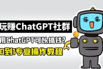 玩赚CGPT社群：听说CGPT可以用来搞钱？从0到1保姆级教程(2月25更新)-副业网