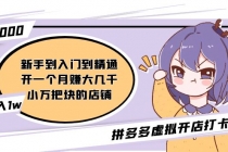 拼多多虚拟开店打卡群：入门到精通2月26更新-副业网