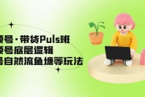 视频号·带货Puls班，视频号底层逻辑，起号自然流鱼塘等玩法-副业网