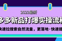 拼多多-新品打爆实操流程：轻松快速拉搜索自然流量，更落地·快速提升!-副业网