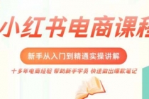 小红书电商新手入门到精通实操课，从入门到精通做爆款笔记，开店运营-副业网