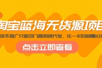 淘宝蓝海无货源项目，不囤货不推广只做冷门高利润代发，花一半时间赚10倍钱-副业网