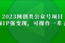 2023网创类公众号月入过万项目，强IP强变现，可操作一辈子-副业网