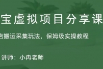 淘宝虚拟整店搬运采集玩法分享课：整店搬运采集玩法，保姆级实操教程-副业网