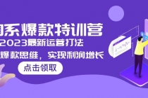 2023淘系爆款特训营，2023最新运营打法，学习爆款思维，实现利润增长-副业网