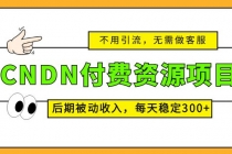 CNDN付费资源项目，不用引流，无需做客服，后期被动收入，每天稳定300+-副业网