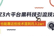 价值4899的2023大平台黑科技引流技术 小白也能靠这些技术混到月入1w+29节课-副业网