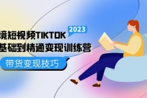 跨境·短视频TIKTOK零基础到精通变现训练营 短视频·独立站·带货变现技巧-副业网