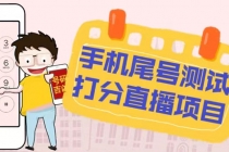 最新抖音爆火的手机尾号测试打分无人直播项目 日赚几百+【打分脚本+教程】-副业网