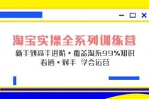 淘宝实操全系列训练营 新手到高手进阶·覆盖·99%知识 看透·对手 学会运营-副业网