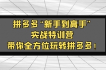 拼多多“新手到高手”实战特训营：带你全方位玩转拼多多！-副业网