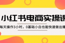 小红书·电商实操课：每天操作3小时，0基础小白也能快速做出爆款！-副业网
