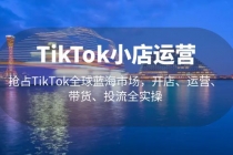 TikTok小店运营 抢占TikTok全球蓝海市场，开店、运营、带货、投流全实操-副业网