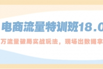 电商流量特训班18.0，直引万流量破局实操玩法，现场出数据拿结果-副业网