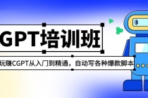 2023最新CGPT培训班：玩赚CGPT从入门到精通 自动写各种爆款脚本(3月23更新)-副业网